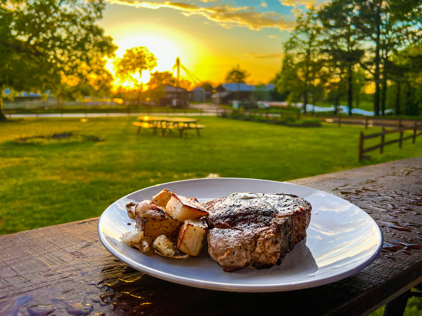 Pastured Raised Pork Chop