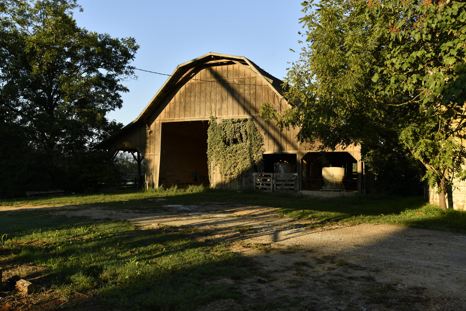 Home Place Pastures photo 11