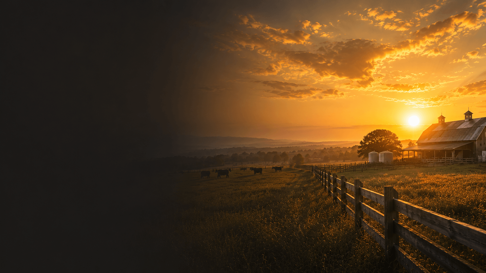 Pasture at Home Place Pastures
