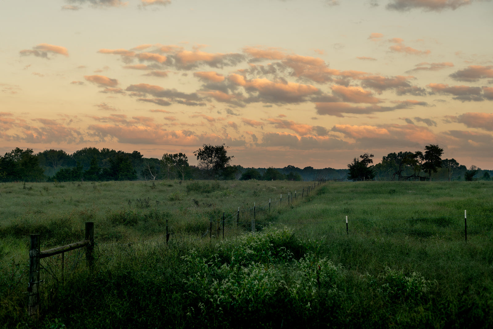 Home Place Pastures photo 19