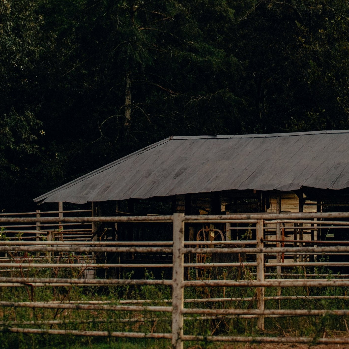 Home Place Pastures photo 2