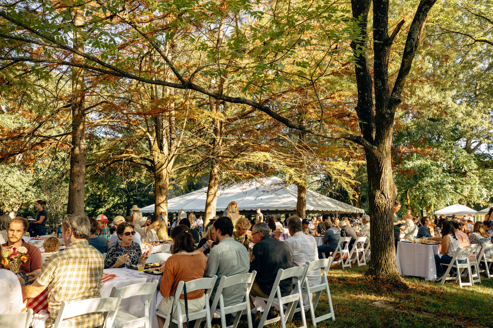 Home Place Pastures photo 23